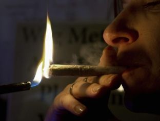 Marihuana lehtëson simptomat e sklerozës së shumëfishtë