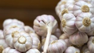 Meshkuj, hani hudhër për të tërhequr femrat
