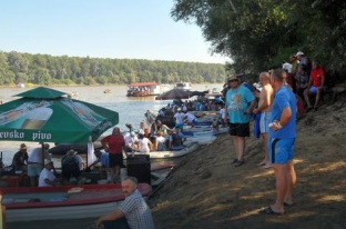 Grejzat sulmojnë mbi një qytet, dhjetëra njerëz kërkojnë ndihmë