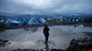 UNHCR: 40 për qind e refugjatëve në botë janë nga shtetet arabe