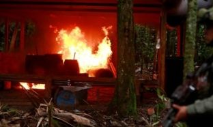 Policia anti-narkotikë në Kolumbi gjen drogë në stallë derrash