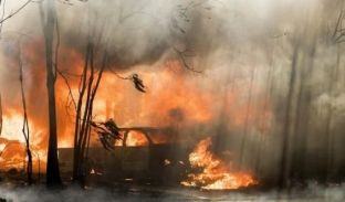 Evakuohen mijëra banorë pas zjarrit masiv në Kaliforni