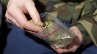 Italia në shtator voton për ose jo legalizimin e kanabisit