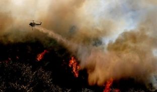 Zjarri përfshin 100 shtëpi në Kaliforni