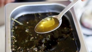 Në Maqedoni fillon shitja e vajit të kanabisit, ja çmimet