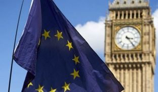 Ligjvënësit britanikë debatojnë peticionin për Brexitin