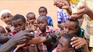 Në Nigeri 4.5 milionë njerëz kanë nevojë urgjente për ushqim