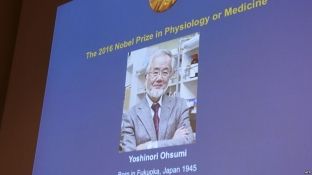 Yoshinori Ohsumi, nga Japonia, fiton Nobelin për Mjekësi