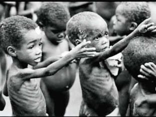 Sot është Dita Botërore e Ushqimit