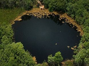 Dy zhytës fundosen në shpellën famëkeqe “Mount Everest”