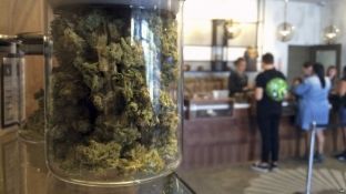 Çështja e legalizimit të marihuanës në SHBA