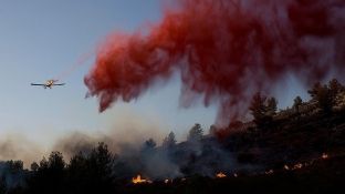 Palestina e gatshme të ndihmojë Izraelin për shuarjen e zjarreve