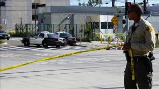 Gjatë një viti në Chicago janë vrarë 747 persona