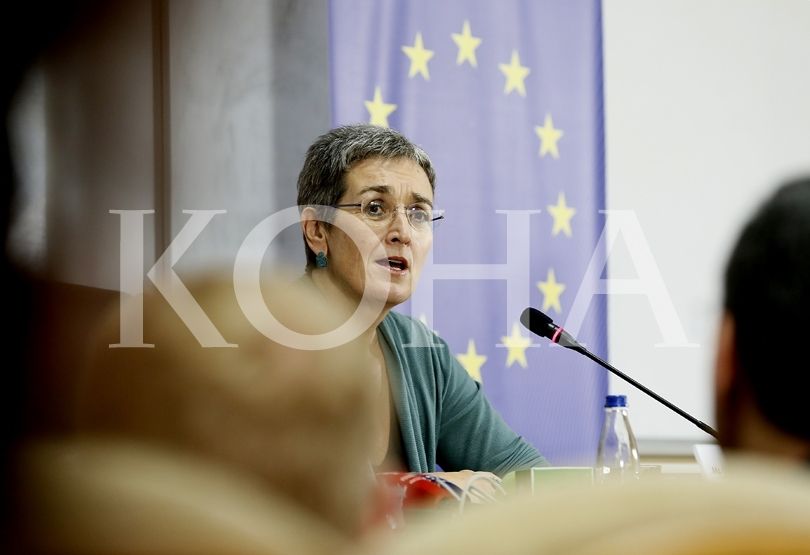 Lunacek sërish zgjidhet zëvendëspresidente e Parlamentit Evropian