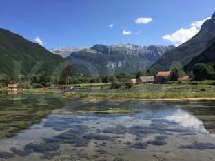  Plava e Gusia i bashkon sot shqiptarët me festival