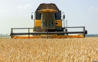 Serbia “ul” çmimin e grurit në Kosovë