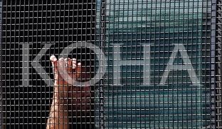  Ngrihet aktakuzë me dyshimin se deshi t’i bashkohet ISIS-it 