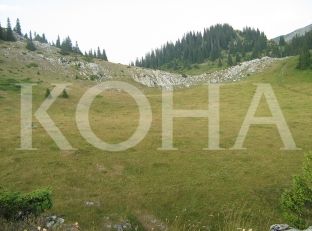 Demarkacioni, sipas planeve zhvillimore të komunave kufitare