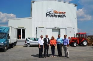 Me teknologji japoneze, 10 tonë kërpudha në ditë