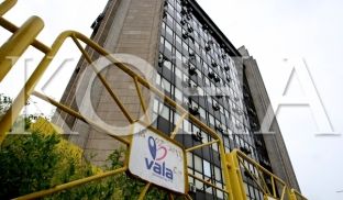 Kujt i takon margaritari i Kosovës