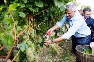 Thaçi në “Hardh Fest”, voli rrush e cakërroi gotat