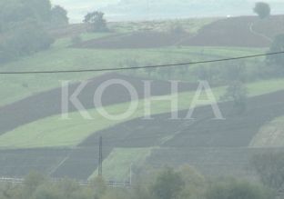 AKP-së nuk i mjaftojnë tre vjet për shitjen e 1700 aseteve [video]