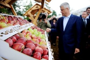 Thaçi: Me punën e pemëtarëve të Kovragës, zhvillojmë bujqësinë e ekonominë e vendit