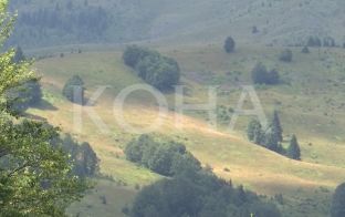 Opozita do ftesë me shkrim për takime rreth demarkacionit [video]