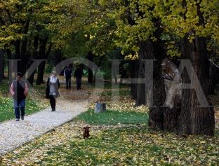 Vjeshta arrin sot në orën 16 e 22 minuta