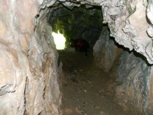 Nxirren 59 kafka nga një shpellë afër Kërçovës