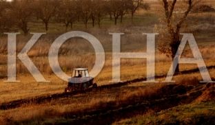 Kosova me 410 mijë e 489 hektarë toke bujqësore të shfrytëzuar