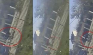  Aleanca e Gruas: Dhuna nuk ka arsyetim