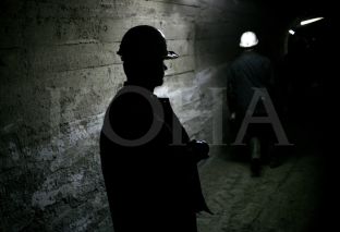 Qeveria do t’i drejtohet Kushtetueses për pezullimin e likuidimit të Trepçës