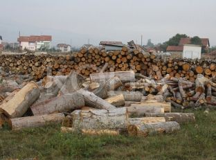 Dy kryetarë komunash akuzohen për keqpërdorim të druve konfiskuara [video]