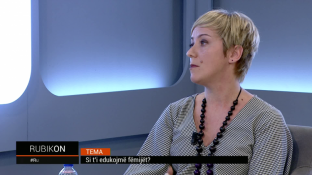 Halimi thotë se secila dhunë ka baza gjinore