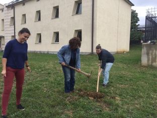 Pak vullnetarë i përgjigjen thirrjes për gjelbërim “Përtej pragut”