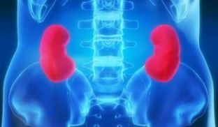 10 për qind e shqiptarëve kanë probleme me veshkat