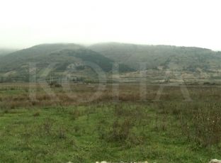 Banorët e Korishës me kallëzim penal kundër shkatërrimit të bjeshkës [video]