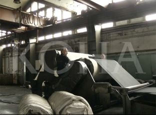 “Ballkanit” i rrezikohet ekzistenca [video]