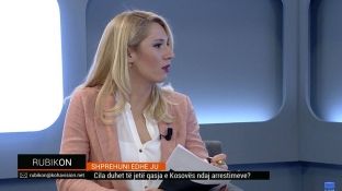 “Kosova duhet të kërkojë anëtarësim në Interpol” 