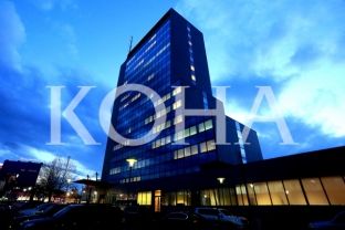 Administrata e Kosovës e mbingarkuar dhe e politizuar [video]