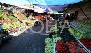 Për 5% bie indeksi i çmimeve të prodhimeve bujqësore në Kosovë