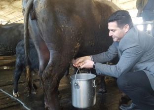 Drenori i Drenasit fton kryekuvendarin Veseli për mjelje të buallicës e jo të qytetarëve