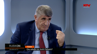  Sylë Hoxha del në konferencë për media për rastin Dehari