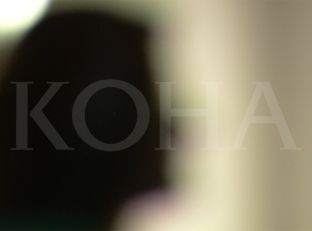 Viktimat e dhunës seksuale të luftës të dëshpëruara me mospërkrahjen institucionale [video]