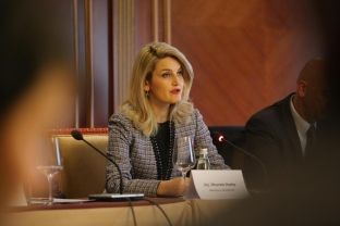 Hoxha: I domosdoshëm rishikimi i Kodit Penal dhe Kodit të Procedurës Penale