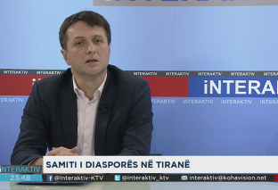 Murati: Synojmë pesë deputetë për përfaqësimin e diasporës në Kuvend