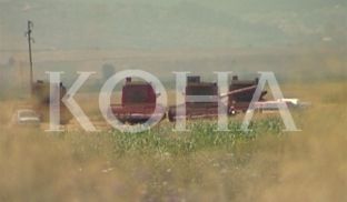 Në Kosovë mbi 50 për qind e tokave të punueshme mbillen me grurë