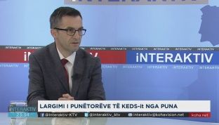 Buzhala: Punëtorët nuk u larguan nga puna, nënshkruan vetë shkëputjen e kontratës