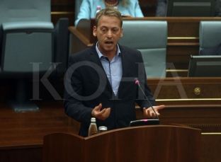 Deda thotë se fajin për viza e ka qeveria që s’do bashkëpunim, por imponim